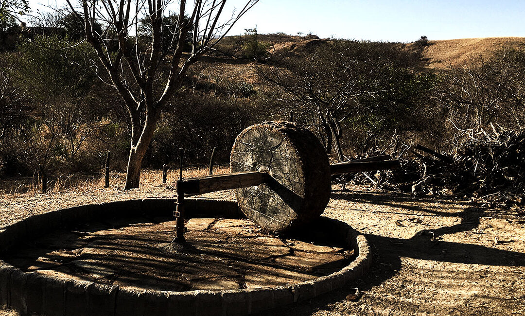 El cortijo sufre una crisis