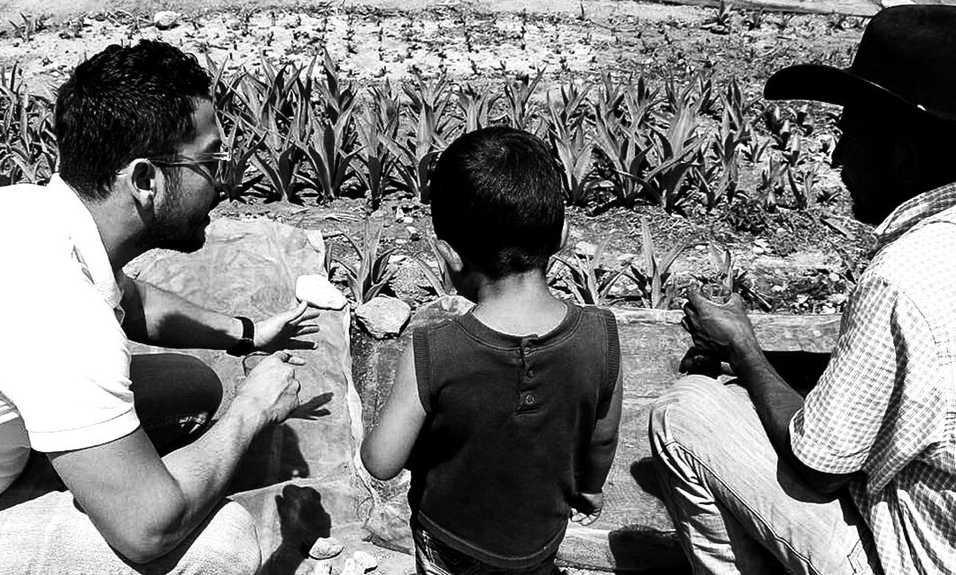 Futuro y ascenso para El Cortijo