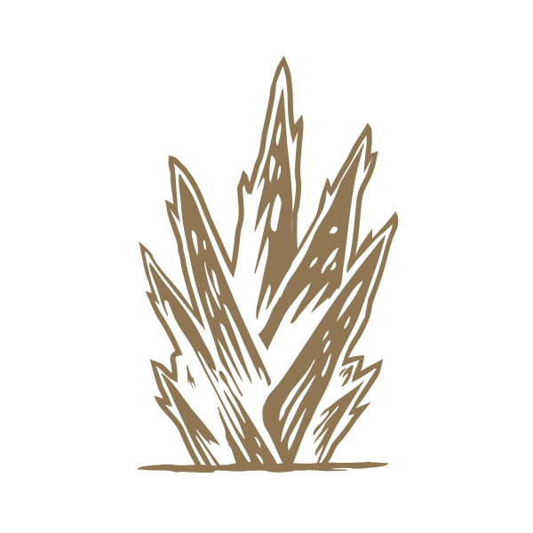 calidad de agave