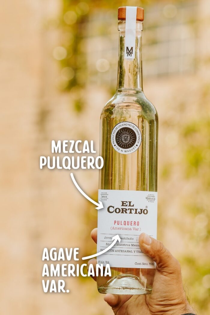 Pulquero - Imagen 3