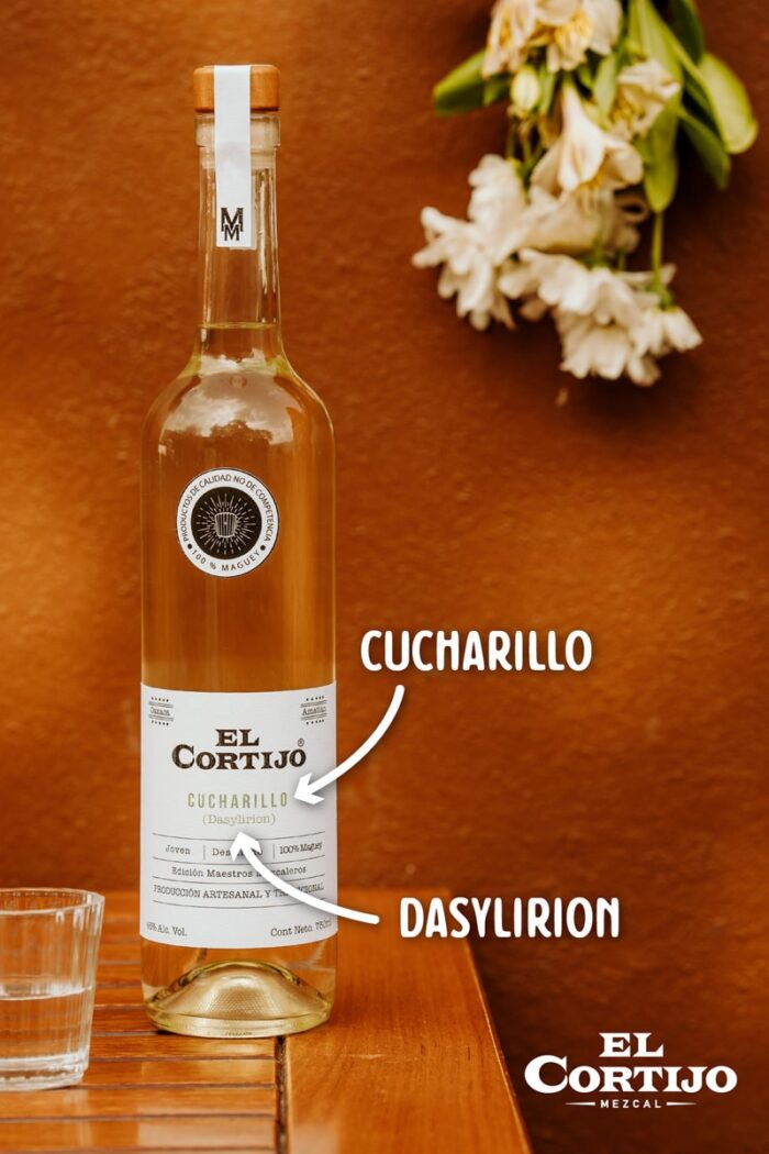 Cucharillo - Imagen 3