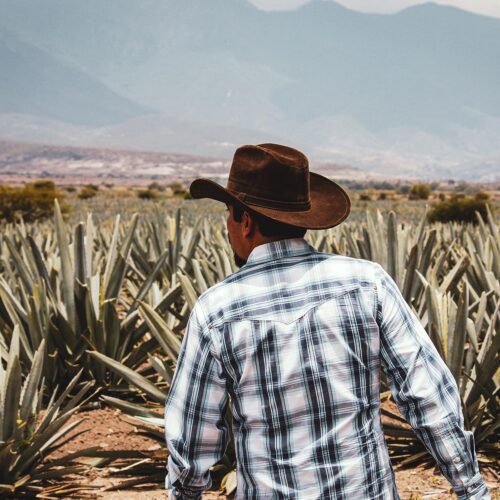 Visita a Casa Cortijo